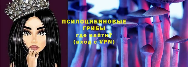 кокс Арсеньев