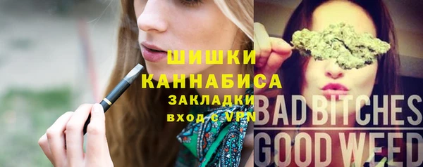 мескалин Заводоуковск