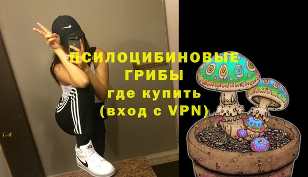 a pvp Аркадак