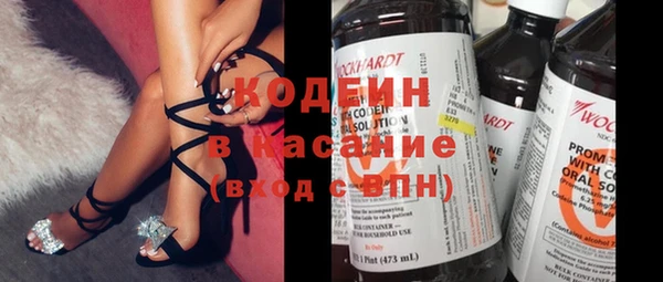 хмурый Ельня