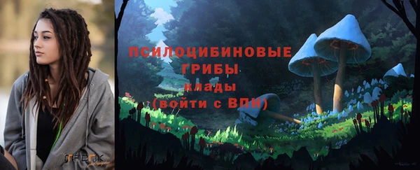 кокс Арсеньев