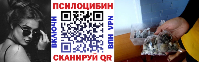 Галлюциногенные грибы Cubensis  OMG tor  Полярные Зори 